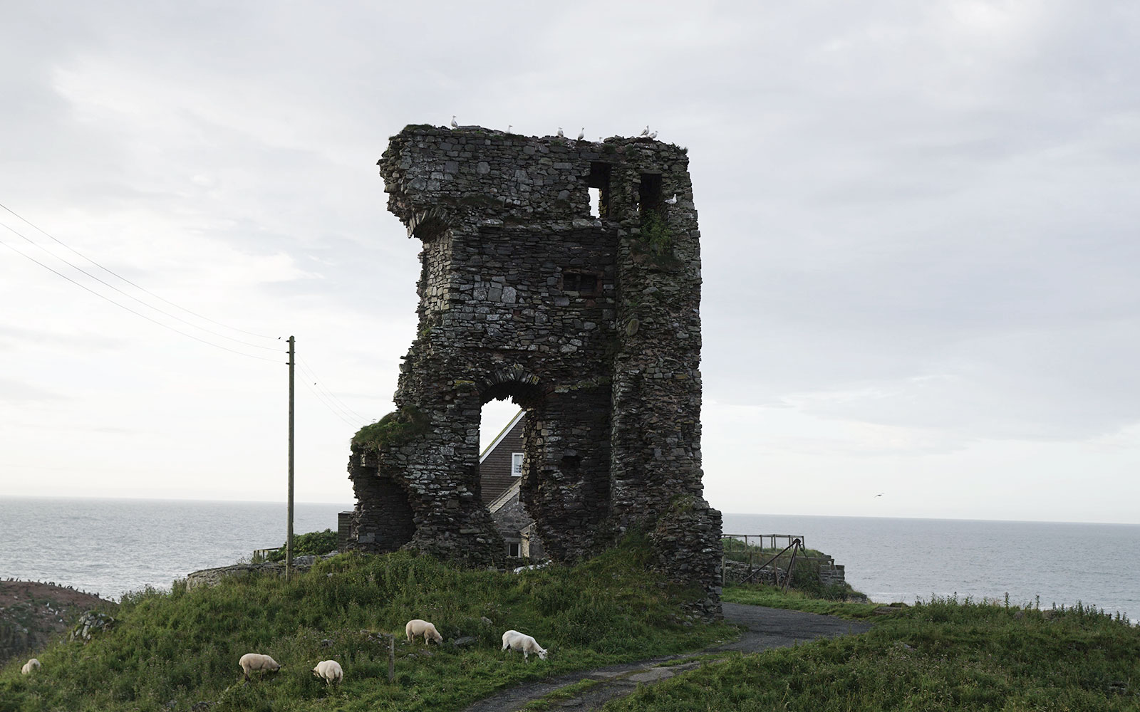 Castillo antiguo de Slains
